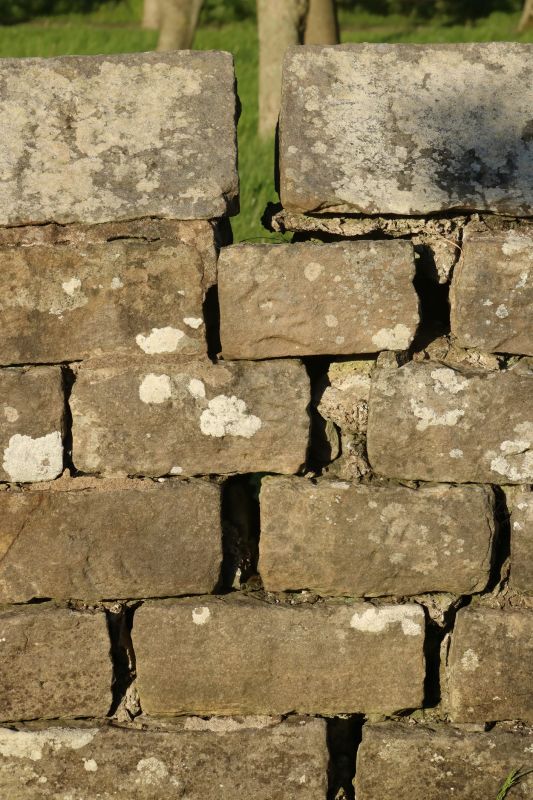 Stone Wall Repair in Charleston, SC